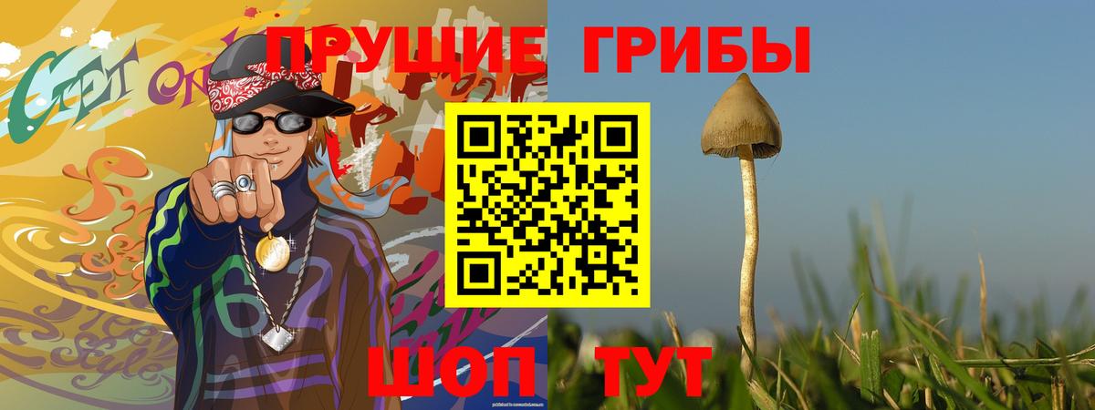 Псилоцибиновые грибы Cubensis  Вход с VPN  Южно-Сахалинск 